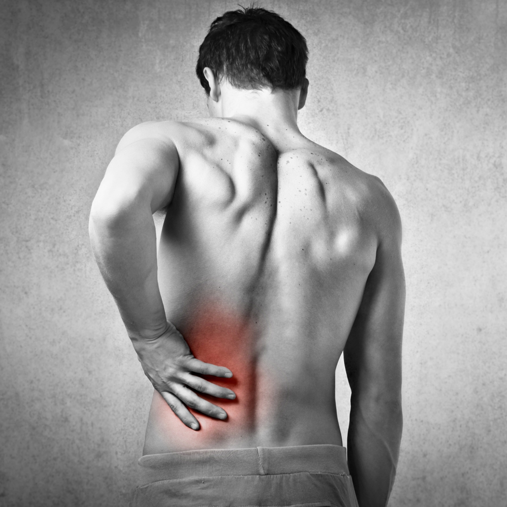 Rehasport Göppingen | Alex Medical Fitness Fitnessstudio Göppingen | Alex Medical Fitness - Rehasport